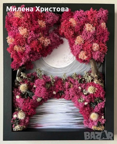 Картина със скандинавски мъх , снимка 1