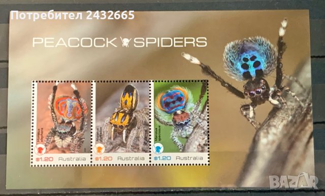 1873. Австралия 2023 = “ Фауна. Паунови паяци. ”, **, MNH, снимка 1 - Филателия - 43042587