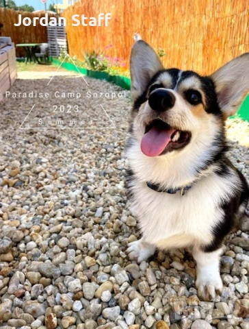 Отдавам парцел под наем за поставяне на каравана ,кемпер или Вендинг автомати и реклама- плаж Каваци, снимка 4 - Парцели - 53096443