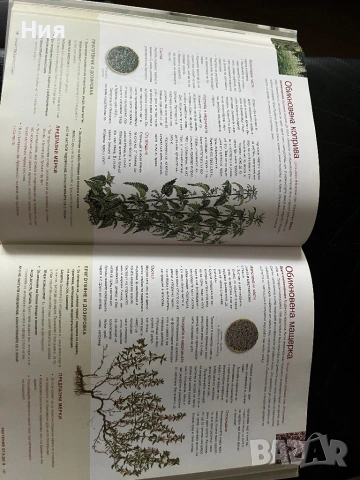 Книга за лекарствени растения, снимка 2 - Други - 53432046