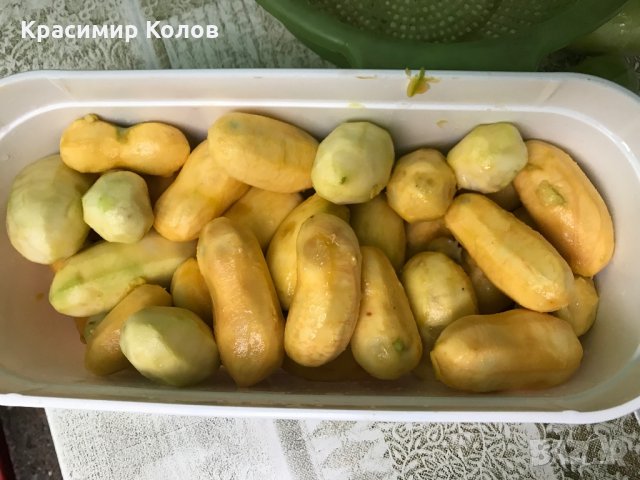 Индиански банан, Асимина трилоба, Asimina triloba,семена и растения, снимка 11 - Разсади - 27092676