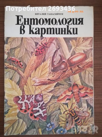 Детски книжки 1 , снимка 7 - Детски книжки - 38440159