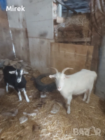 за продажба