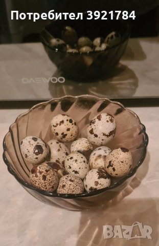 Пъдпъдъчи яйца за консумация, снимка 1