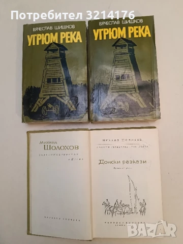 Угрюм река. Книга 1-2 - Вячеслав Шишков