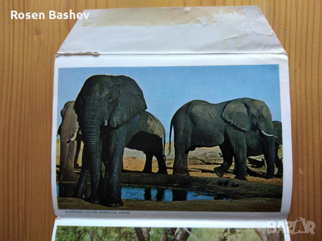  Картичка. Плик.Албум., снимка 2 - Филателия - 28657507