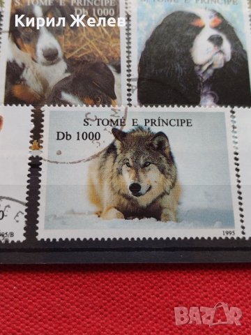 Пощенски марки чиста комплектна серия ЖИВОТНИ Кучета 1995г. за колекционери - 22031, снимка 5 - Филателия - 36641550