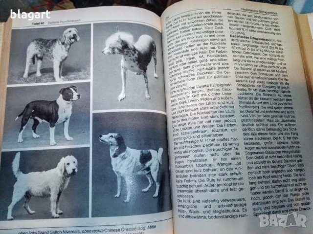 "Енциклопедия на кучето"-Германия, снимка 15 - Специализирана литература - 33458448