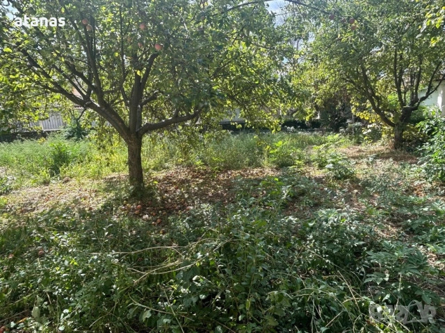 Оране фрезоване и мулчиране на дворове, снимка 2 - Други услуги - 53048896