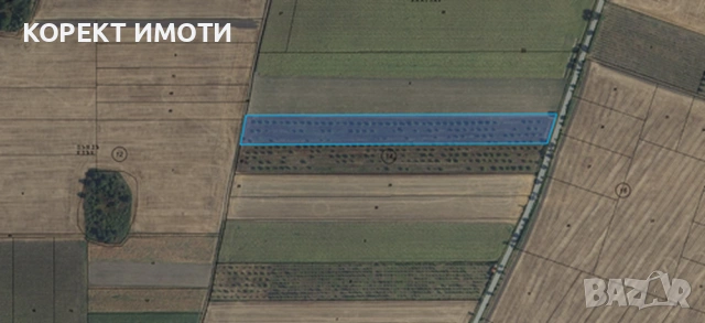 ПРОДАВА ОРЕХОВА ГРАДИНА в село Тодор Икономово