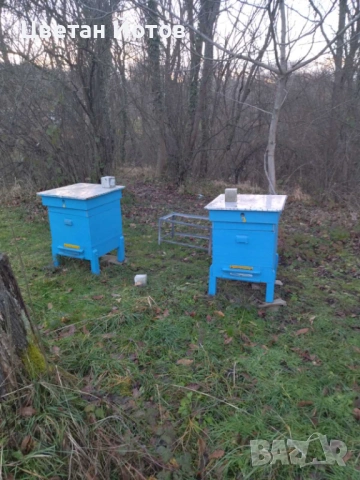 продавам 4бр. кошери, заедно с пчелни семейства и инвентар