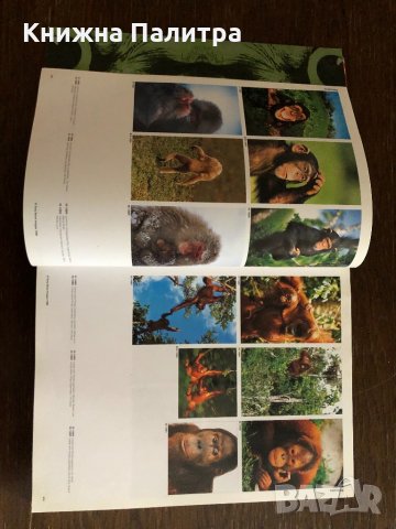 WILD LIFE  TONY STONE BILDERWELTEN, снимка 3 - Други - 33414584