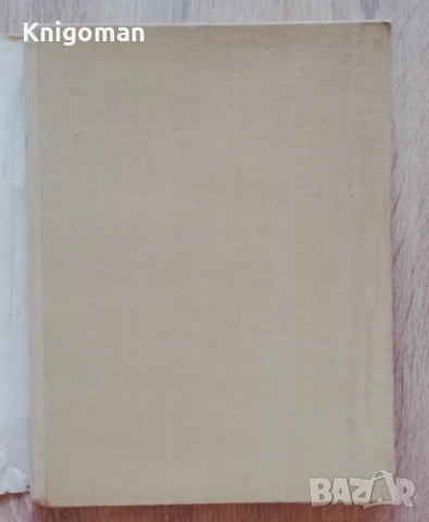 Бусинска керамика, Георги Бакърджиев, снимка 2 - Специализирана литература - 51839711