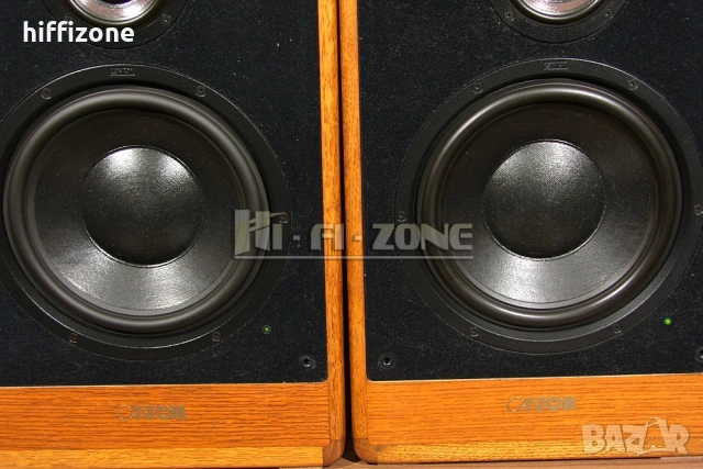  Активни тонколони Canton ca10 , снимка 4 - Тонколони - 53392929