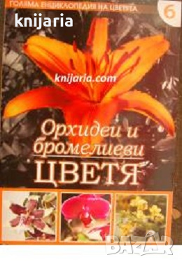Голяма енциклопедия на цветята том 6: Орхидеи и бромелиеви цветя, снимка 1 - Специализирана литература - 36482799