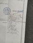 Продавам стар документ Свидетелство девическа гимназия Търново 1902, снимка 3