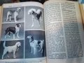 "Енциклопедия на кучето"-Германия, снимка 15