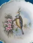 4бр Royal Albert английска колекционерска декоративна порцеланова чиния-картина/птици, снимка 3