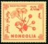Диви горски плодове на Монголия-8 марки, 1968 г., Монголия, снимка 5