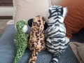 Плюшени играчки , снимка 5