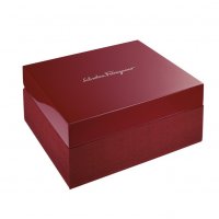 Salvatore Ferragamo FFW010017 мъжки часовник, снимка 2 - Мъжки - 37983635