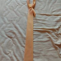 Вратовръзки в различни цветове , снимка 5 - Други - 28653463