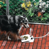 Pet Water Fountain – Поилка фонтан за куче във формата на лапа, снимка 1 - За кучета - 32369111