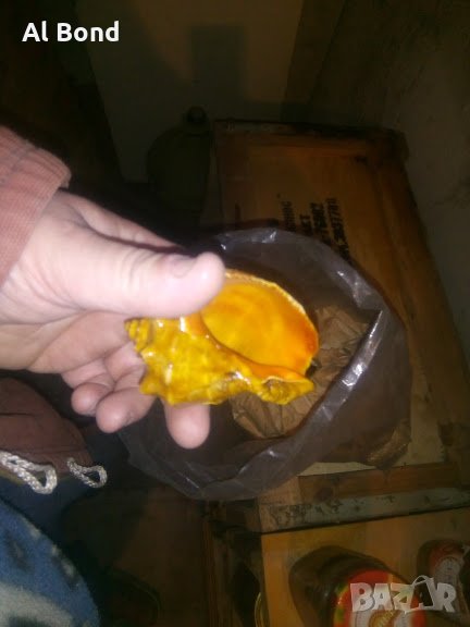 РАПАНИ, снимка 1