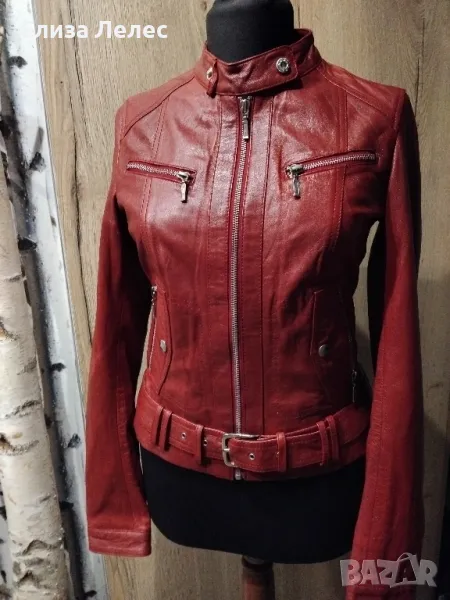 Molltan дамско яке от естествена кожа размер 34, снимка 1