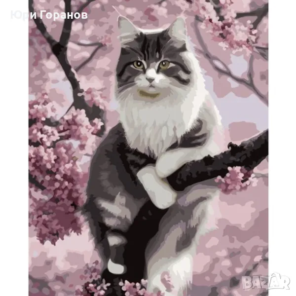 Рисунка по номера MAALEO, снимка 1