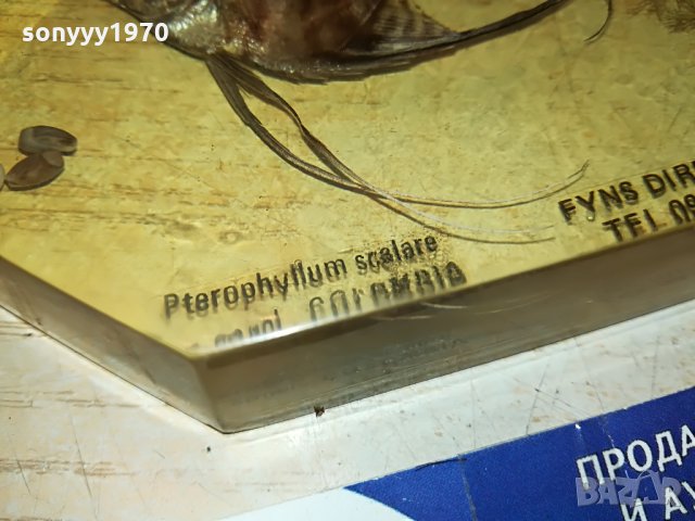 риба кехлибар-внос германия 0807210835, снимка 5 - Антикварни и старинни предмети - 33457583