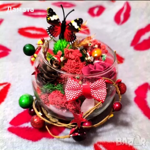 Различни видове кашпи със скандинавски мъх , снимка 5 - Декорация за дома - 45370583