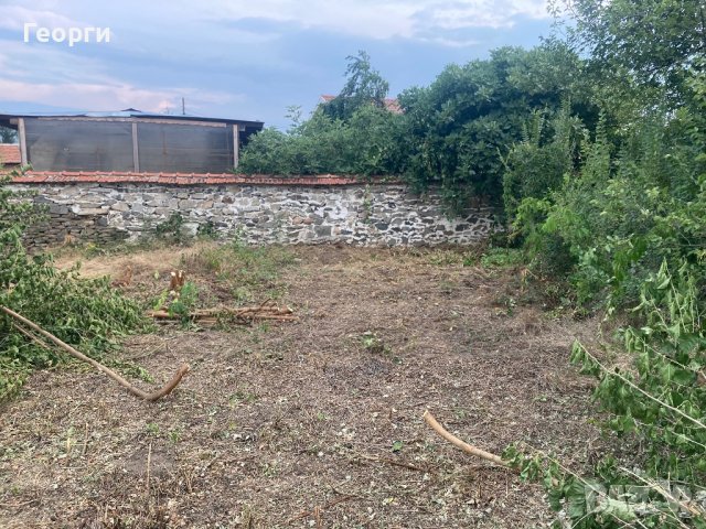 Косене на Трева и Почистване на Дворове, снимка 14 - Почистване на домове - 37740339