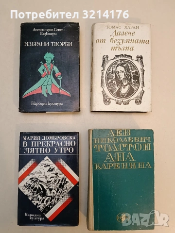 В прекрасно лятно утро - Мария Домбровска 