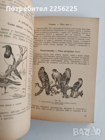 Ръководство по ловно стопанство, снимка 4 - Специализирана литература - 52441859