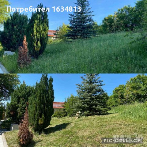  косене на трева,  поддържане на дворове,  премахване на храсти, снимка 3 - Почистване на домове - 28640600