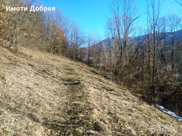 Парцел с къща и панорамна гледка в гр. Априлци, снимка 5 - Парцели - 49449205