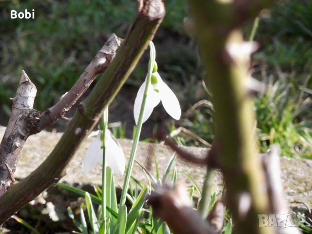 Fujifilm FinePix T210, снимка 15 - Фотоапарати - 53474756