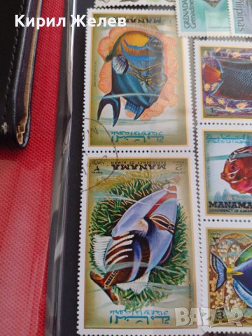 Пощенски марки смесени серия ЕКЗОТИЧНИ РИБИ много красиви за КОЛЕКЦИЯ 37888 , снимка 11 - Филателия - 40455166