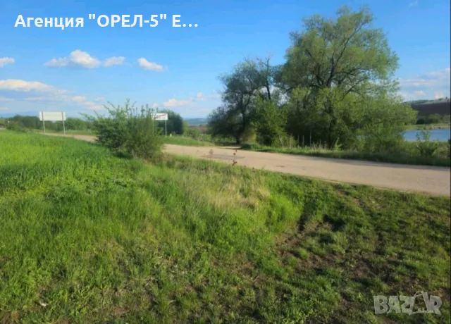 Продава Парцел с.Брезнишки извор,област Брезник, снимка 2 - Земеделска земя - 50154754