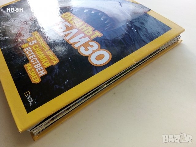 Океанът от близо - панорамна книга с 5 снимки в естествен размер - 2010г., снимка 12 - Детски книжки - 39760775