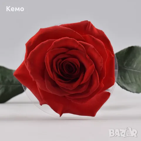 Елегантна вечна роза в стилна кутия, снимка 6 - Подаръци за жени - 48770390