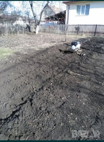 рязане на дървета, храсти, косене на треви, фрезоване , снимка 9 - Други услуги - 43562142