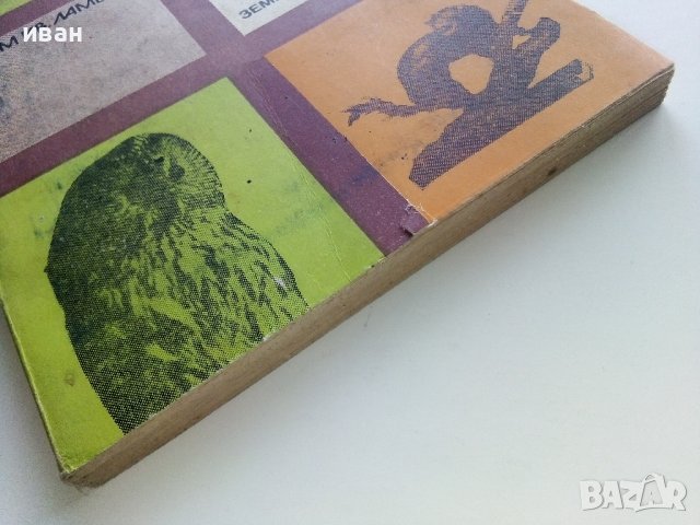 Кратко ръководство за препариране - Ефтим Ламбрев - 1976г. , снимка 11 - Енциклопедии, справочници - 40616709