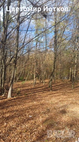 Къща 200кв. м, снимка 4 - Къщи - 52807505