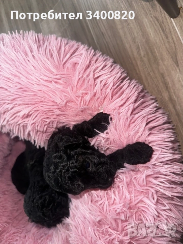 Той пуделчета, снимка 4 - Други - 53181851