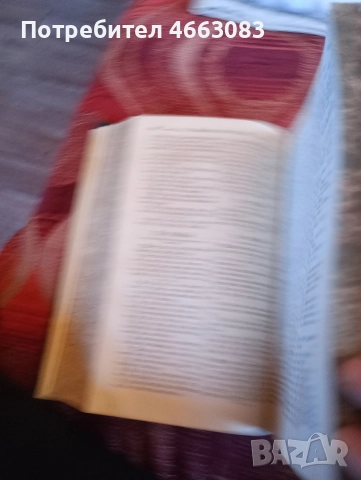 СТАРА БИБЛИЯ , снимка 11 - Колекции - 52604333