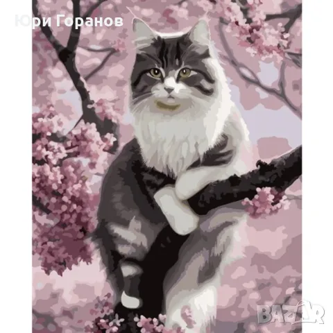 Рисунка по номера MAALEO