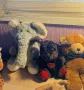 Детски плюшени играчки, снимка 2