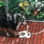 Pet Water Fountain – Поилка фонтан за куче във формата на лапа, снимка 1 - Стоки за кучета - 32369111